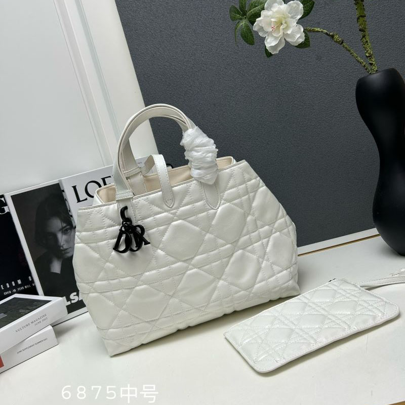 Christian Dior Shopping Bags